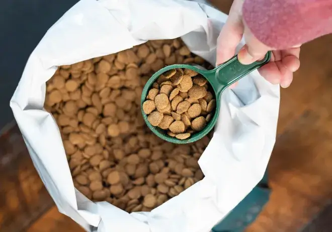 Pet Food