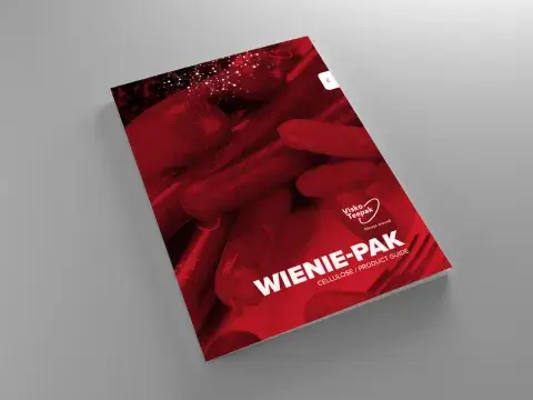 ViskoTeepak Cellulose brochure thumb