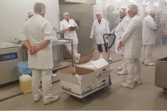 Veggie Testing